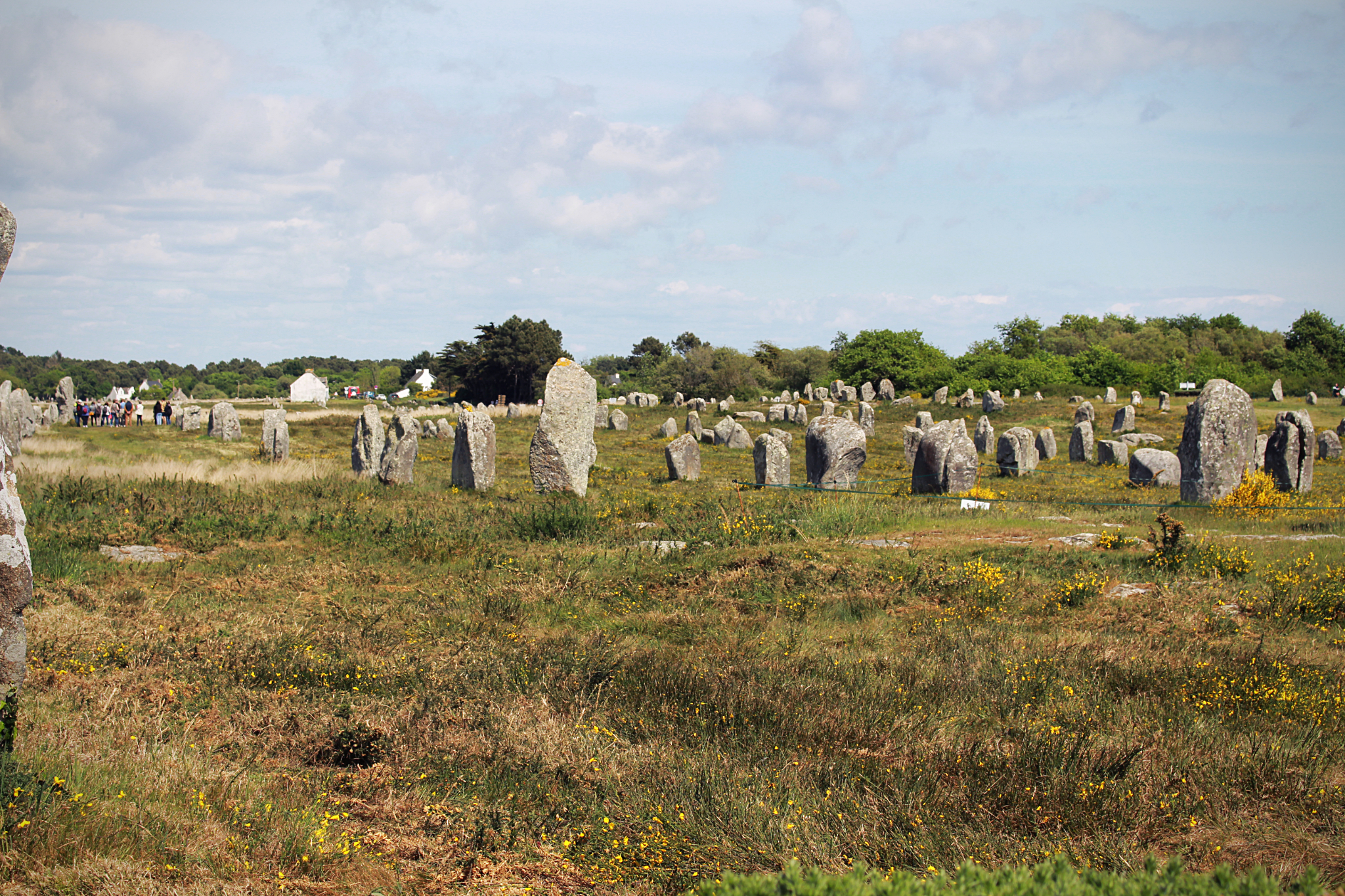 Allineamenti di Carnac