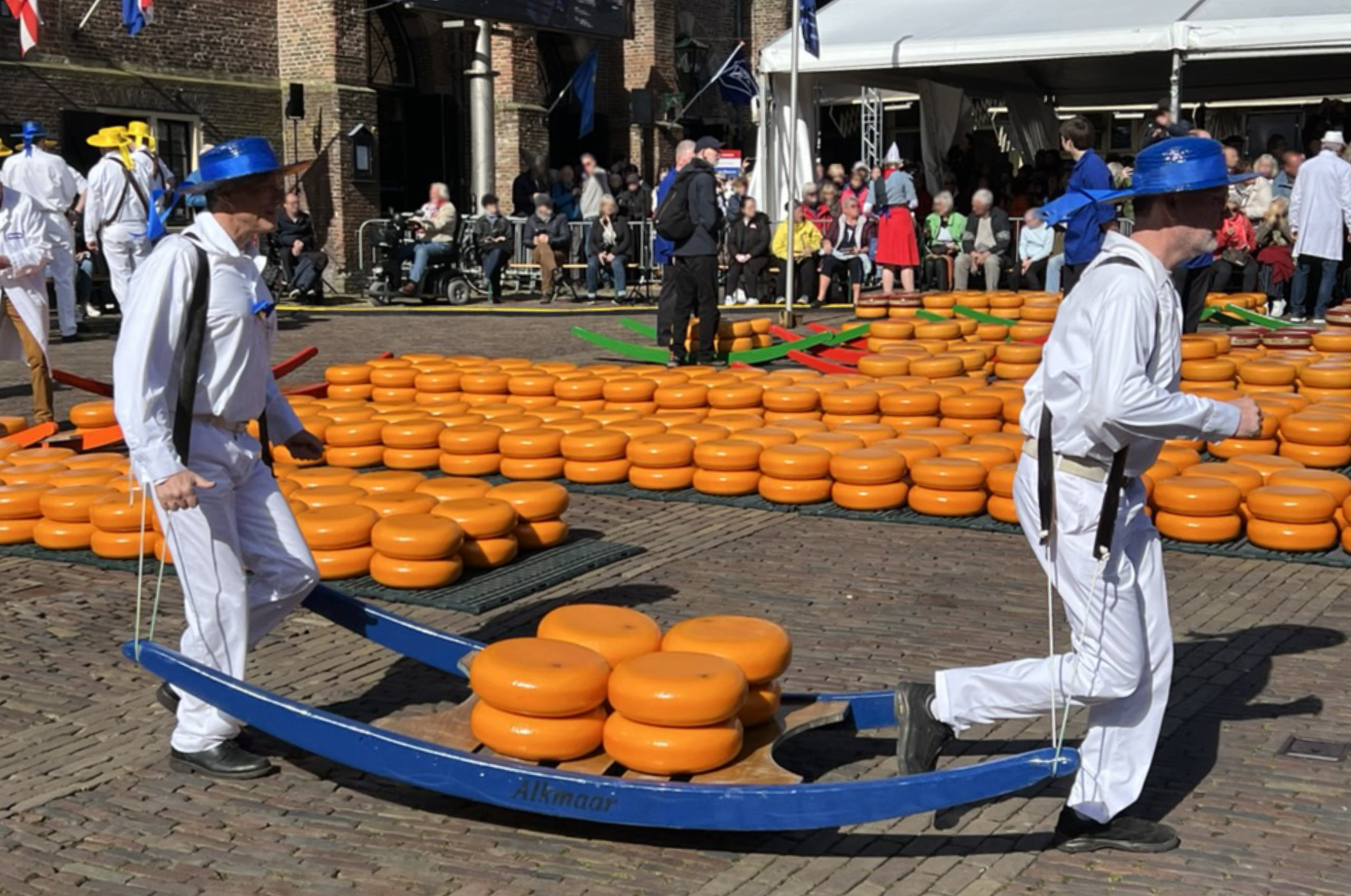 Alkmaar - il mercato del formaggio Alkmaar - il mercato del formaggio