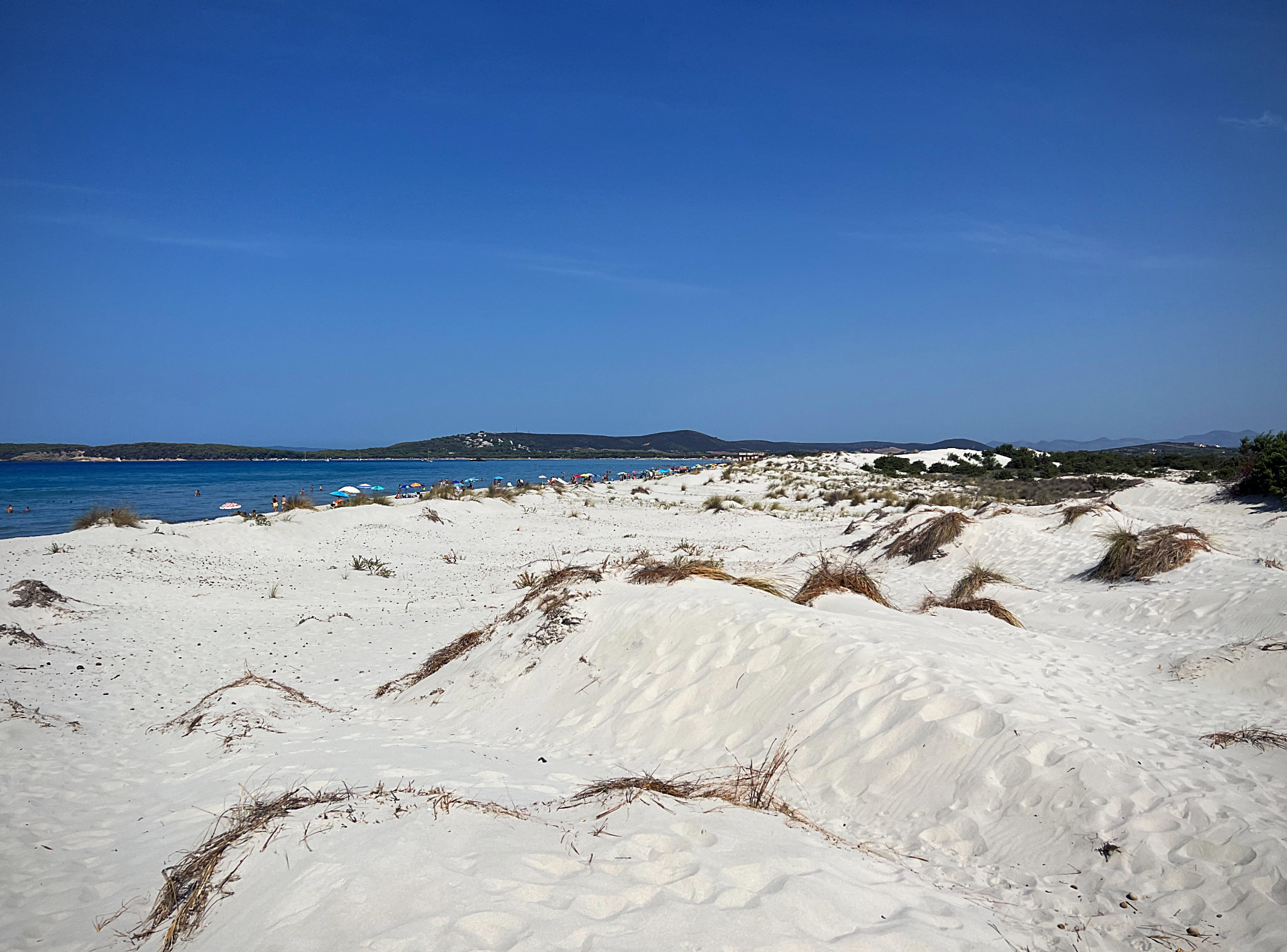 Sardegna